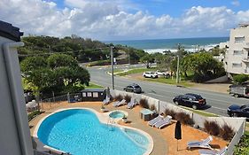 Pandanus Coolum Beach